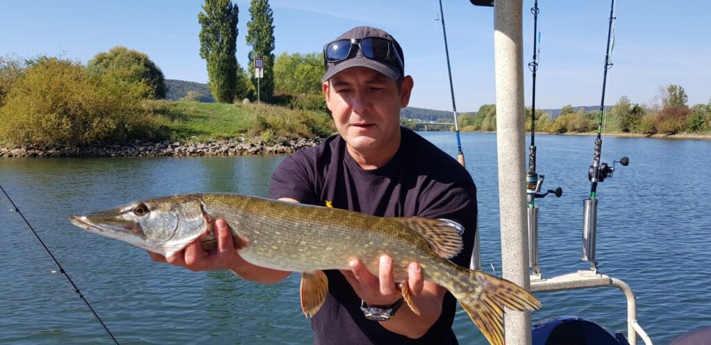 Angler auf dem Boot hält einen Hecht