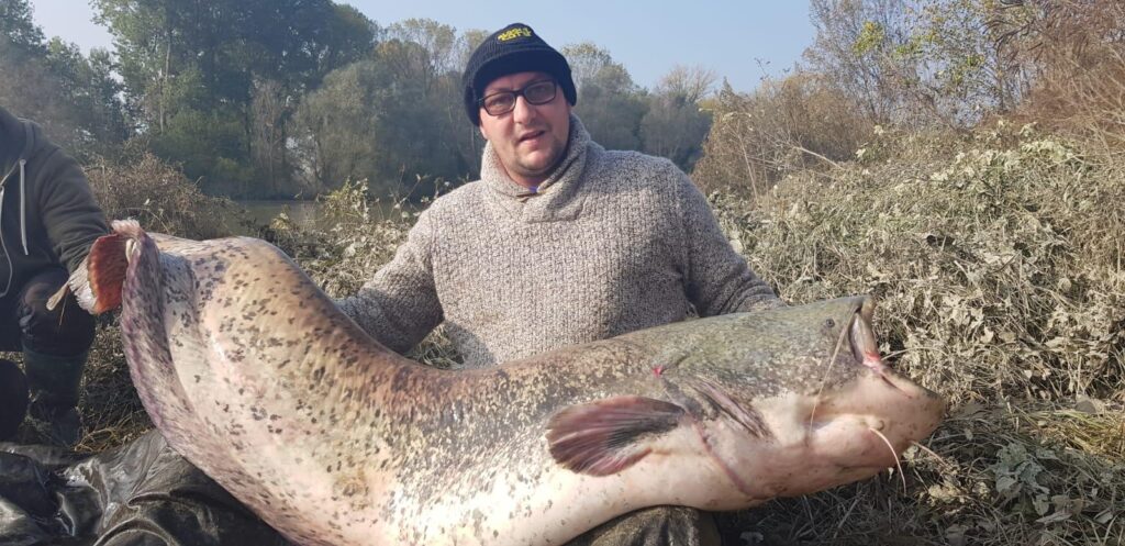 Angler kniet am Ufer mit einem großen Wels